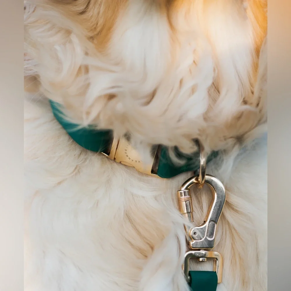 Sunny Tails Meadow Green Waterproof Dog Collar Medium Gold Buckle Adjustable NEW